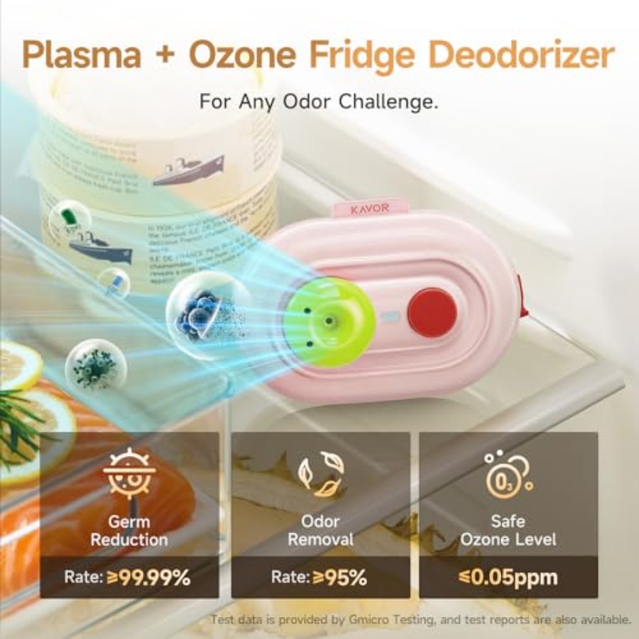 Plasma Fridge Deodorizer Ozone - огляд і ціна Odor Eliminator Car
