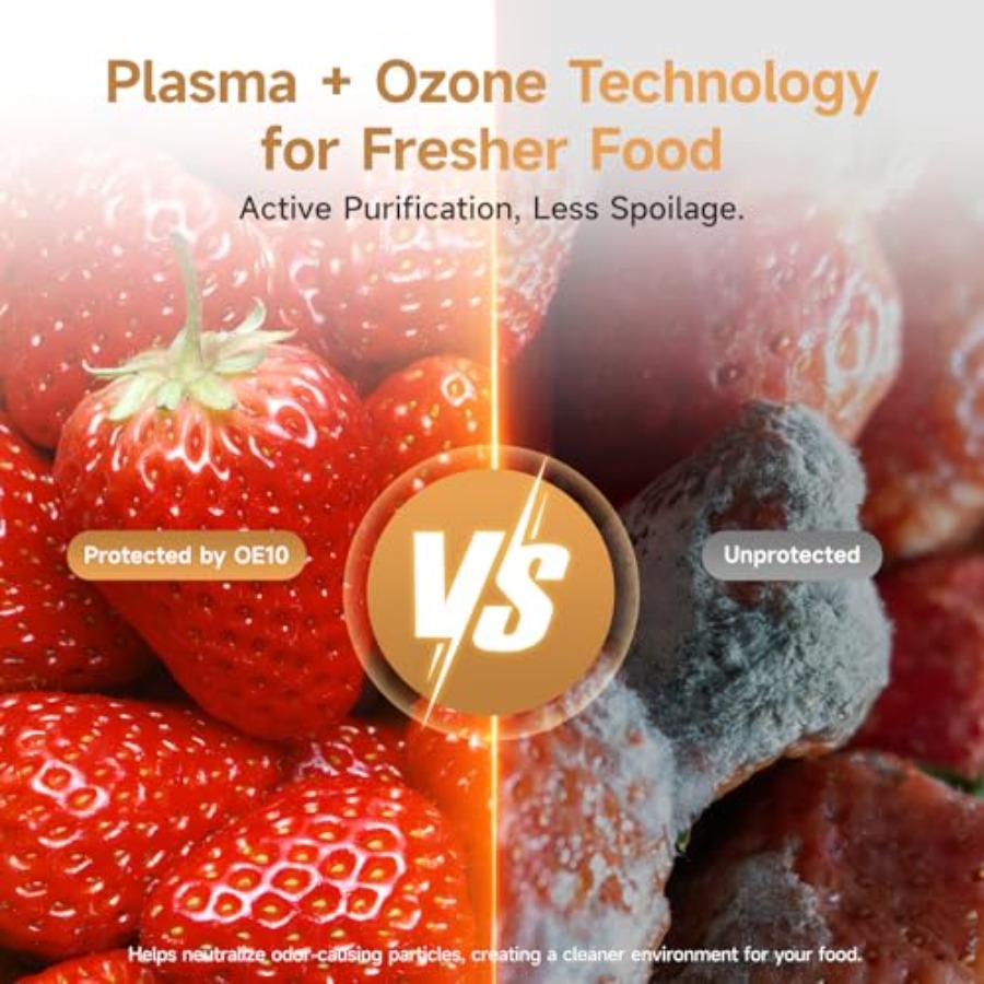 Plasma Fridge Deodorizer Ozone - огляд і ціна Odor Eliminator Car